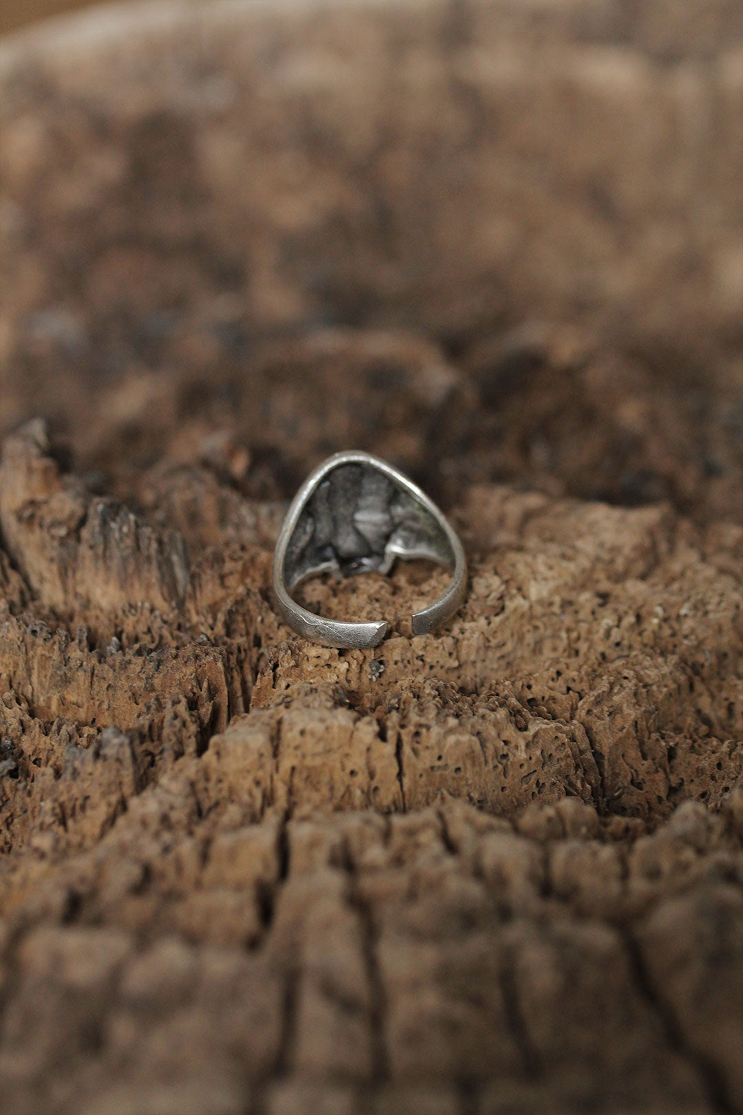 Adjustable Motif Skull Design Men's Ring