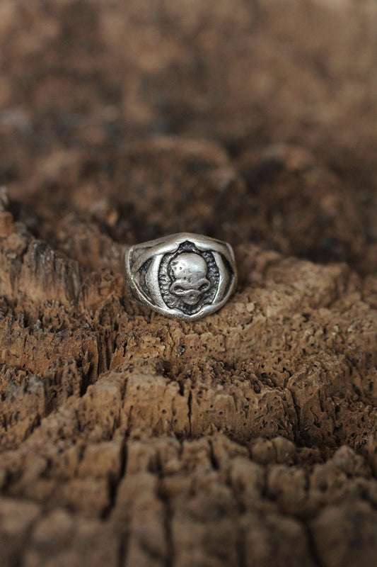 Adjustable Skull Design Men's Ring