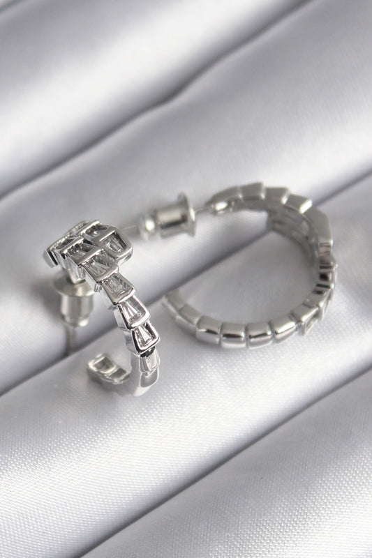 Brass Silver Color Zircon Stone Snake Model Women's Earrings